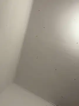 davidxxx099 online show from November 2025 10:30:01 PM