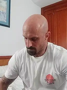Visto36 online show from July 2026 11:49:02 PM