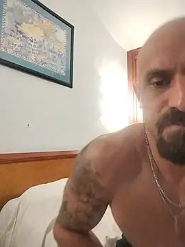 Visto36 online show from July 2026 11:11:02 PM