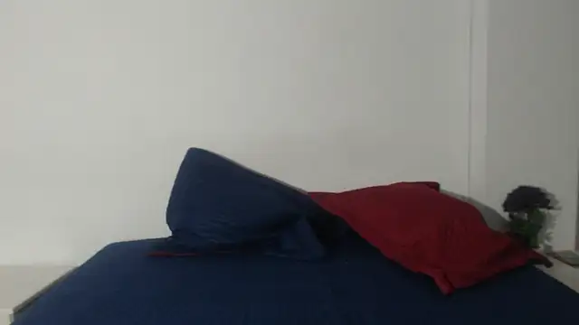 onixandghosty1 online show from February 2026 07:04:02 PM