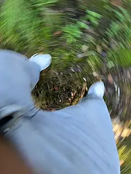 amo660 online show from September 2025 10:09:01 AM