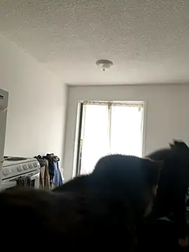 inked nekoo online show from December 2025 03:33:02 PM