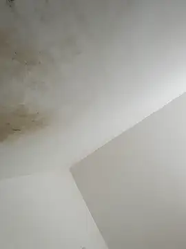 Snapshot of thunderrony chatting on October 2025 03:13:02 PM thunderrony online show from October 2025 03:13:02 PM