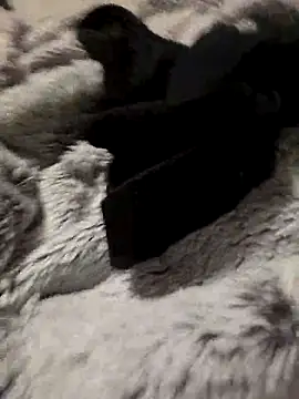 bigdicksklave online show from October 2025 07:54:02 PM