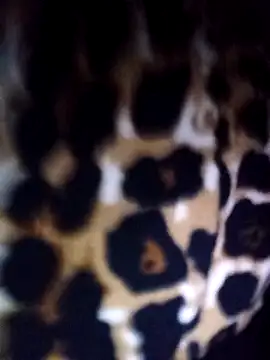 Thaohoa love online show from February 2026 09:49:01 PM