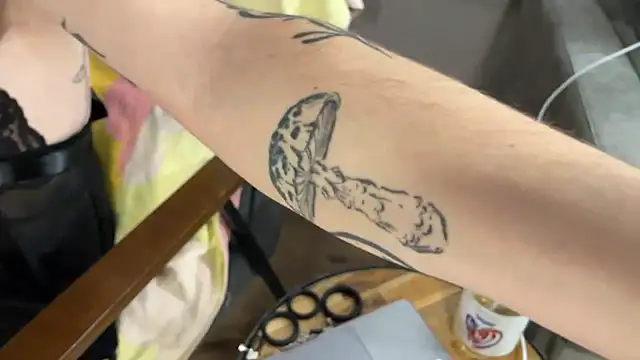 NoaTender online show from January 2026 06:48:02 PM