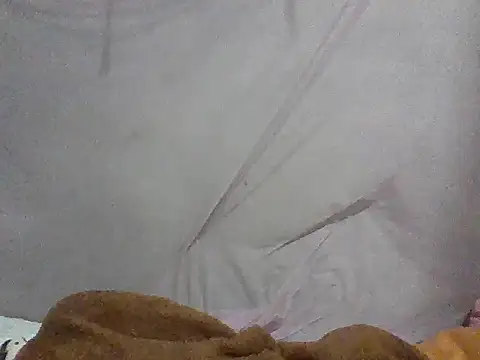 Lee coope online show from October 2025 12:33:02 AM