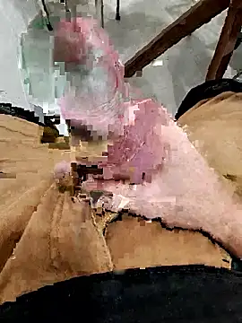 dav850 online show from November 2025 06:13:02 PM