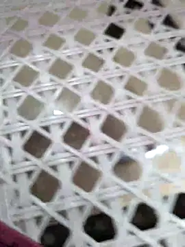 Alexa9k7 online show from December 2025 07:15:02 PM