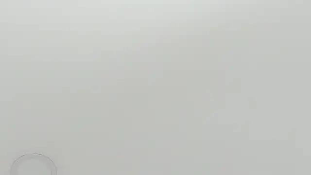 Snapshot of scarletross_ chatting on February 2026 02:39:02 PM scarletross online show from February 2026 02:39:02 PM