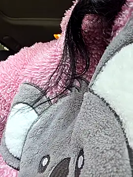 Swiss Lady online show from December 2025 01:32:02 PM