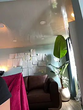 Canneela online show from February 2026 07:05:01 PM