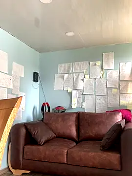 Canneela online show from November 2025 06:19:02 PM