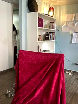 Canneela online show from October 2025 04:17:01 PM