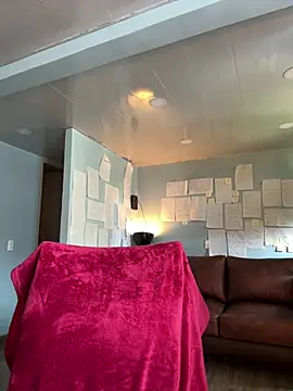 Canneela online show from April 2026 05:47:01 PM