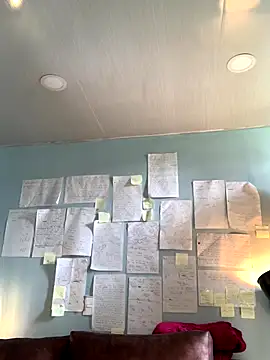 Canneela online show from December 2025 06:07:02 PM