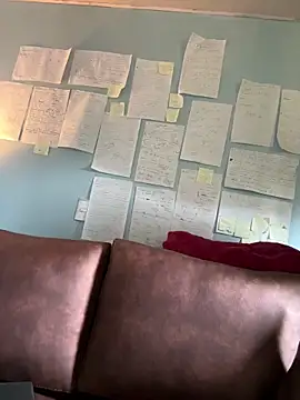 Canneela online show from March 2026 05:17:01 PM