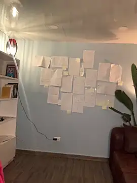 Canneela online show from September 2025 03:00:02 AM