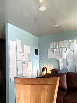 Canneela online show from November 2025 06:08:02 PM