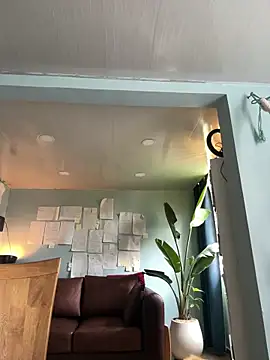 Canneela online show from March 2026 03:56:02 PM