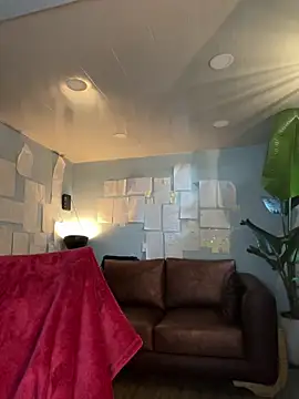 Canneela online show from February 2026 09:04:01 PM