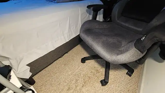 catt18 online show from November 2025 04:32:02 PM