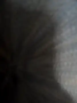 safadomoreno online show from December 2025 04:37:01 AM