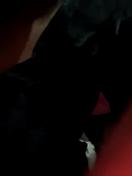 Antique-stickchart-couple online show from November 2025 12:55:02 PM