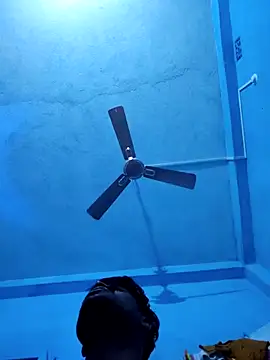 BlackCobraOwner online show from November 2025 04:11:02 PM