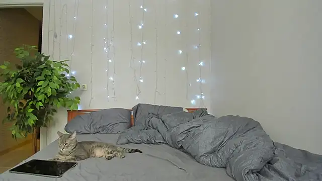 Kelly Gerzikaa online show from March 2026 02:45:02 AM