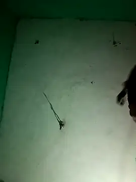 Sapna9685 online show from November 2025 11:26:02 PM