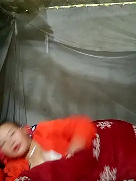 Seg min online show from November 2025 03:33:02 AM