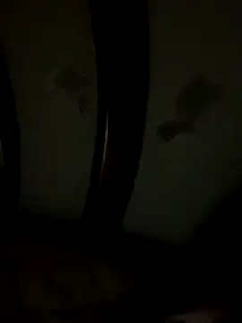 Bruno18cmmmmkk online show from December 2025 03:54:01 AM