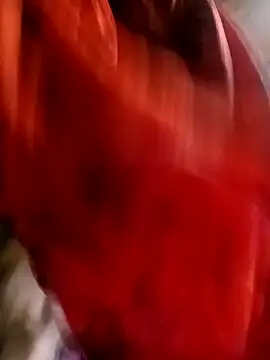 Snapshot of gulapi-gulistan180 chatting on October 2025 02:54:02 AM gulapi-gulistan180 online show from October 2025 02:54:02 AM