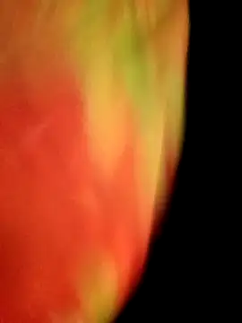 Snapshot of gulapi-gulistan180 chatting on September 2025 05:09:02 PM gulapi-gulistan180 online show from September 2025 05:09:02 PM