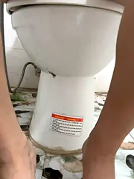 tran my online show from October 2025 05:04:02 AM