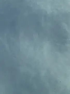 camboys poyraz online show from November 2025 01:03:01 PM