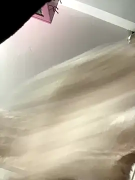 Pyy07 online show from November 2025 12:31:02 PM