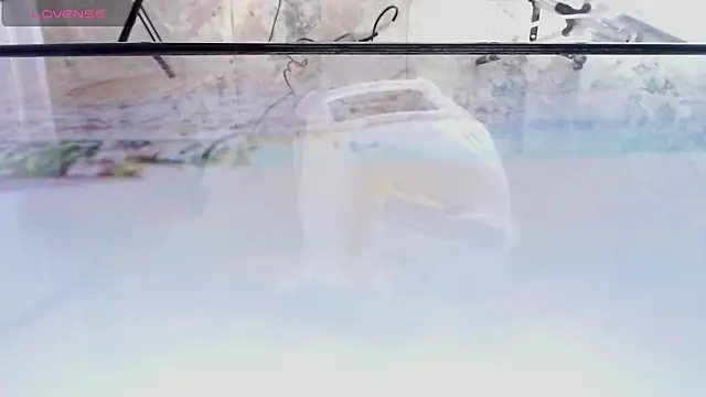 andrealopezcm101 online show from December 2025 12:16:02 AM