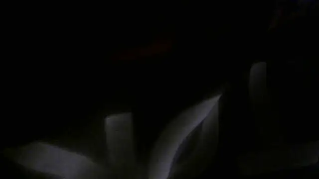 crassanova online show from April 2026 12:34:01 PM