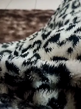 Gauderio40 online show from November 2025 04:11:02 AM