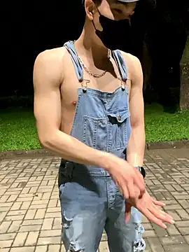 Snapshot of anhkiet_huang chatting on November 2025 02:43:01 PM anhkiet huang online show from November 2025 02:43:01 PM