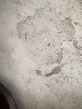 Schii69 online show from December 2025 11:41:01 PM