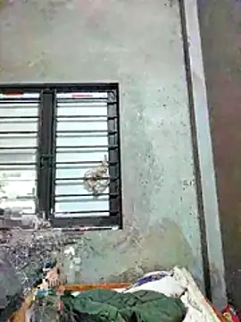 kute-00 online show from November 2025 02:17:01 PM