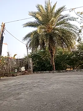 monu bhabi online show from February 2026 02:54:02 AM