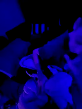 Ghost Face803 online show from March 2026 06:42:02 AM