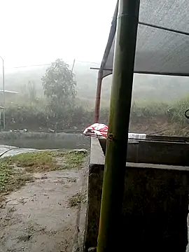 ngan-cute online show from November 2025 04:17:01 AM