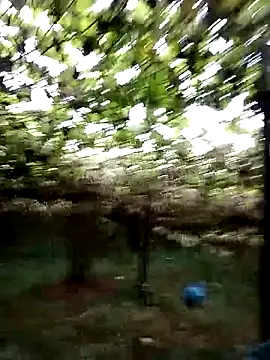 ngan-cute online show from October 2025 11:25:02 PM