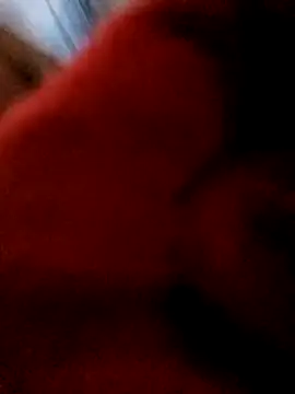 bing-bing88 online show from February 2026 01:55:01 PM