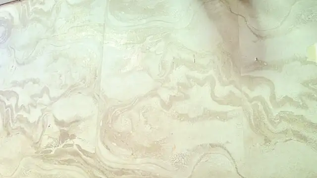 amy greene online show from March 2026 11:34:02 AM